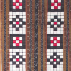 Jet Black & Crimson Red Geometric Checkerboard Bichitrapuri Double Ikat Cotton Saree