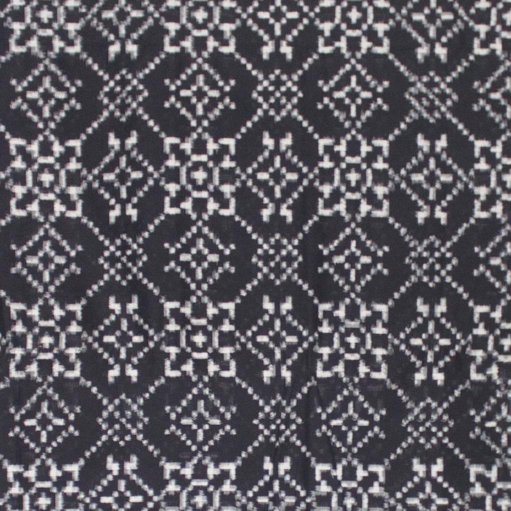 Ethnica Handloom Black & White Ikat Saree