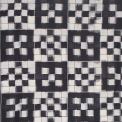 Whitte Black Handloom Cotton Pochampally Saree